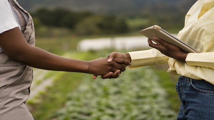 OFFRE D'EMPLOI: DIRECTEUR DES OPERATION AGRICOLE BILINGUE
